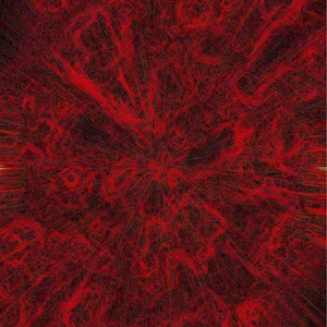 佐山爱医院看望病人
